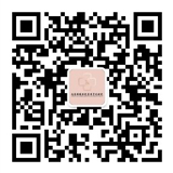 手機(jī)站二維碼